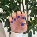 북파주농협 하나로마트 이미지