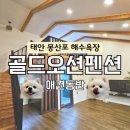 희망펜션 | [태안숙소]몽산포 부근 애견동반 &#39;골드오션펜션&#39; 숙소내부 부터 솔직후기까지!