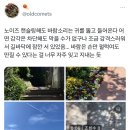 9월을 맞으며