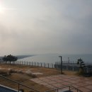 [겨울방학] 대부도 펜션 추천 보니따 풀빌라 펜션 후기: 깨끗한 시설과 즐거운 추억