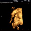 모태산부인과의원 이미지