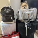 에코 켄넬 이미지