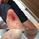 비봉지구대 이미지