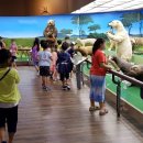 한국자연사박물관 이미지