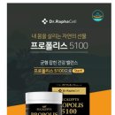 호주면세점상설할인점 이미지