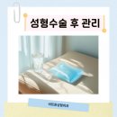 비트윈성형외과