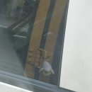 9. 사랑하기위한삶살기위해한사랑