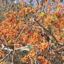 용사목장 이미지