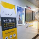 놀숲마곡 이미지