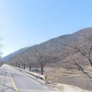 박영태농장 이미지