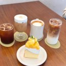 나비사랑 작은도서관 이미지