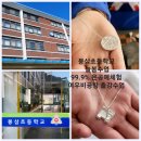늘봄학교 늘봄체험 은반지만들기 봉삼초등학교 ~부산은공예 여우비공방 외부출강수업 이미지