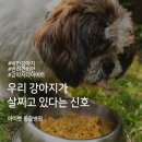 아이펫 동물병원 이미지
