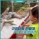 홍가구리빙갤러리 | 구리 아이랑 가볼만한 곳 구리타워 전망대 곤충생태관