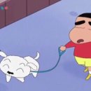 프라임동물병원 이미지