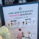 그린홈푸드 | 스타벅스 실리콘 푸드백 그린 후기, 스프링 세트 직접 구매한 솔직후기