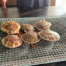 천사수산 | 강원도 고성 백도수산 가리비 직매장 / 가리비구이 맛집