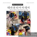 태라뷰티아카데미미용학원