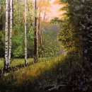 Birch grove / 자작나무 숲으로 1 이미지