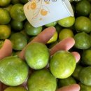 더나농장 이미지