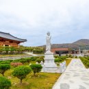 은평구수목장 티스토리