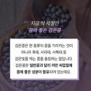 천년약속 이미지