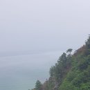 수아래 이미지