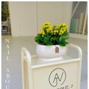 어바웃제이 | 울산 네일 유지력까지 만족, 네일어바웃제이 2호점 솔직 후기