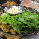 마포진짜원조최대포집 Daum카페