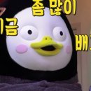 경주중앙시장 이미지