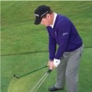 웨글웨글 이미지