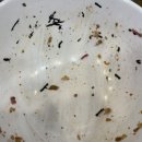 슬로우캘리 대전시청점 대전시청맛집 대전둔산동맛집 둔산동포케 샐러드