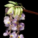 수지장식 이미지