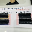 아잉유속눈썹
