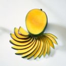 Mangoes Could Be the Secret Superfood to Improve Metabolism and Prevent Disease by Sabrina Rojas Weiss Thu, Jun 1 2:30 PM PDT 이미지