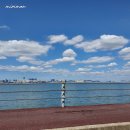 이마트24 안산해솔길점 이미지