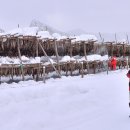 황태덕장 이미지