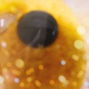 러브플러스 | 11월, 다양한 가능성.