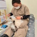 냥냥미장원 이미지