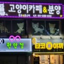 캣츠앤몬스터