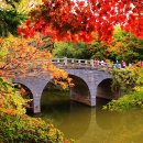 아름다운 이미지