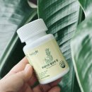 알파플로우 | 알파CD와 브로멜라인의 효소효과, 투데이핏 플로우 정