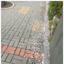 정자바우하우스미술학원