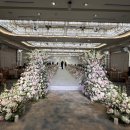 비비드모어 | 밝은 | 선릉 하우스 웨딩🪻 | 강남 150명 총견적1000초반 웨딩홀(vs 르비르모어/상록아트홀/더휴웨딩홀)