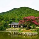 진도 운림산방 이미지