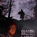 도깨비나무 이미지