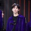 쭈니쭈니