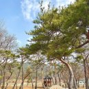 와플러버 티스토리