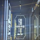 고동치 이미지