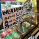 완도 카페도도한 마카롱과 샌드위치 맛집